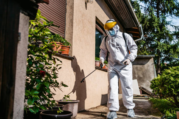 Best Pest Removal Services  in Rupert, ID