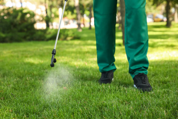 Best Rat Extermination Near Me  in Rupert, ID