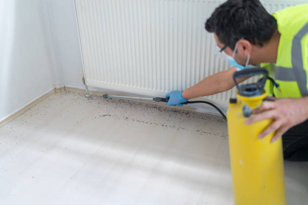 Best Best Pest Control Companies  in Rupert, ID